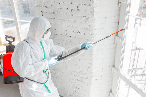 Best Comprehensive Air Testing for Mold Contaminants  in Abbeville, LA