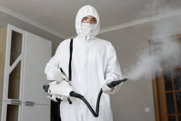 Mold Documentation for Insurance Claims in Abbeville, LA