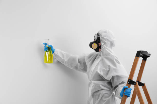 Best Asbestos and Lead Testing During Mold Inspection  in Abbeville, LA